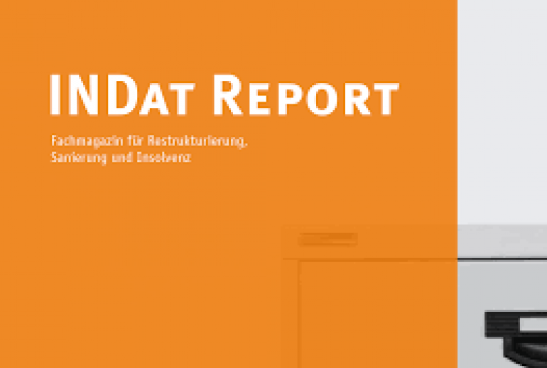 Logo Indat Report
